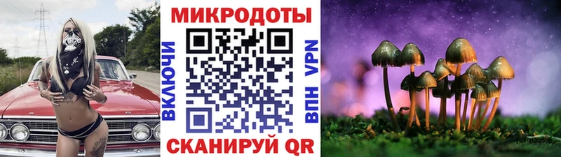 Галлюциногенные грибы Psilocybe  купить закладку  Сосновый Бор 