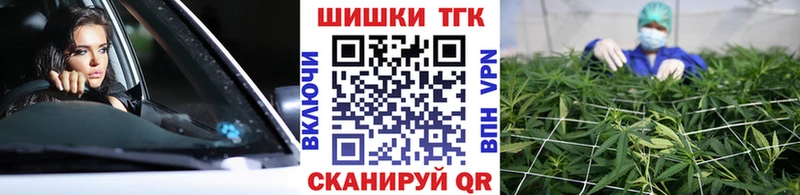Конопля THC 21% Сосновый Бор